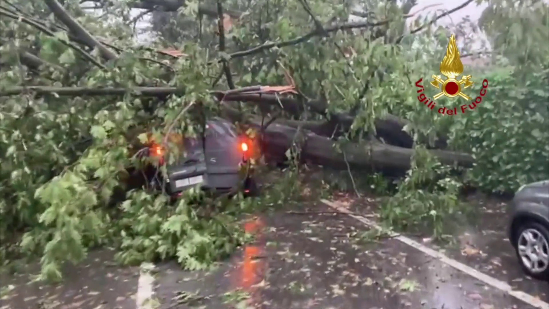 Maltempo, alberi caduti e allagamenti nel Nord della Lombardia