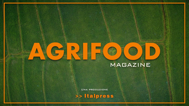 Agrifood Magazine - 4/5/2022