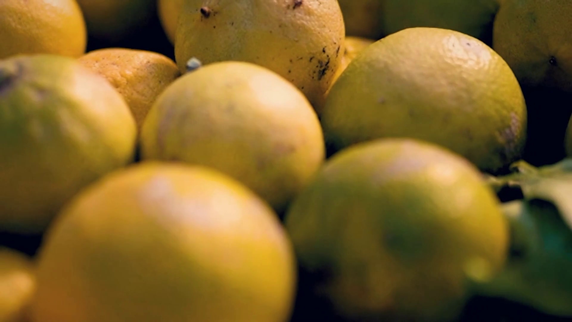 Imprese, la formazione leva strategica per l'internazionalizzazione