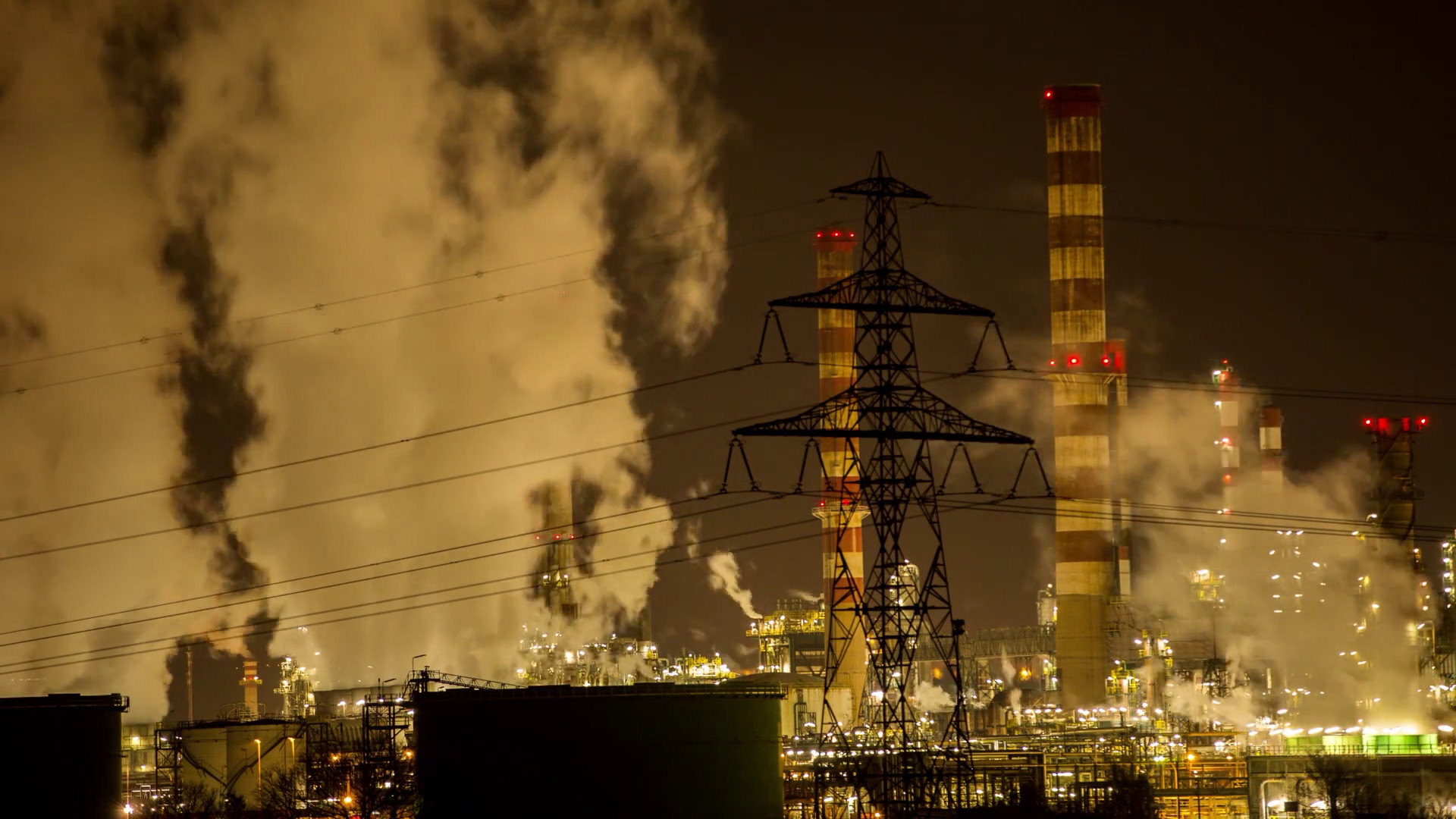 Allarme Greenpeace 