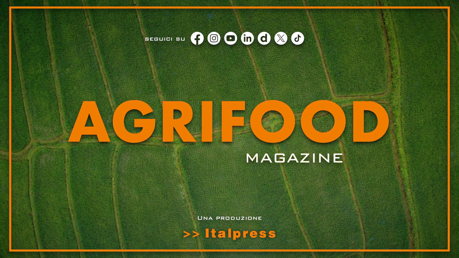 Agrifood Magazine - 10/6/2026