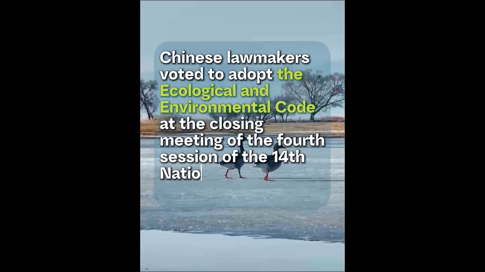 Cina, un nuovo codice ecologico per tutelare l'ambiente