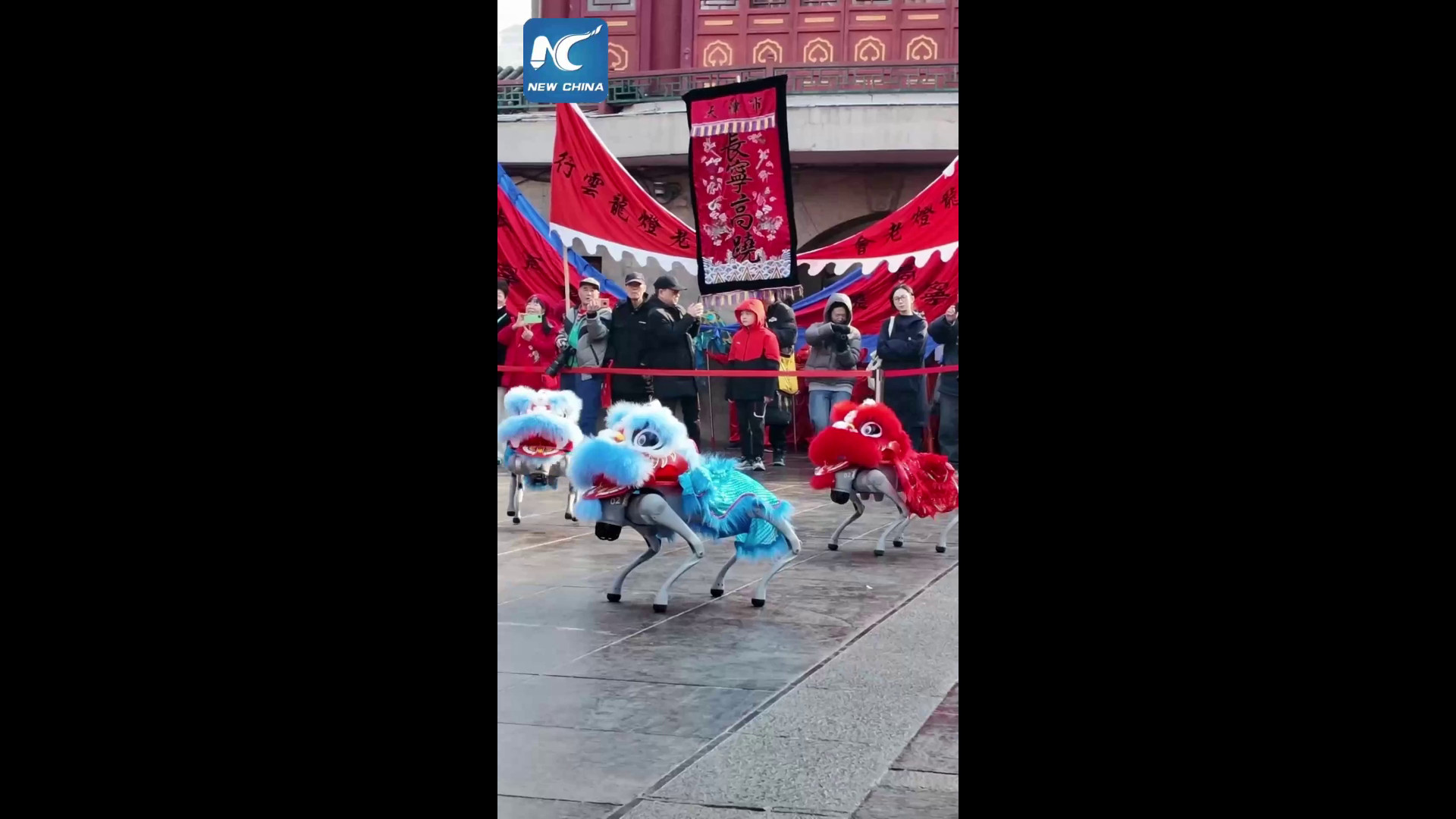 Cina: cani robot si esibiscono nella danza del leone a Tianjin