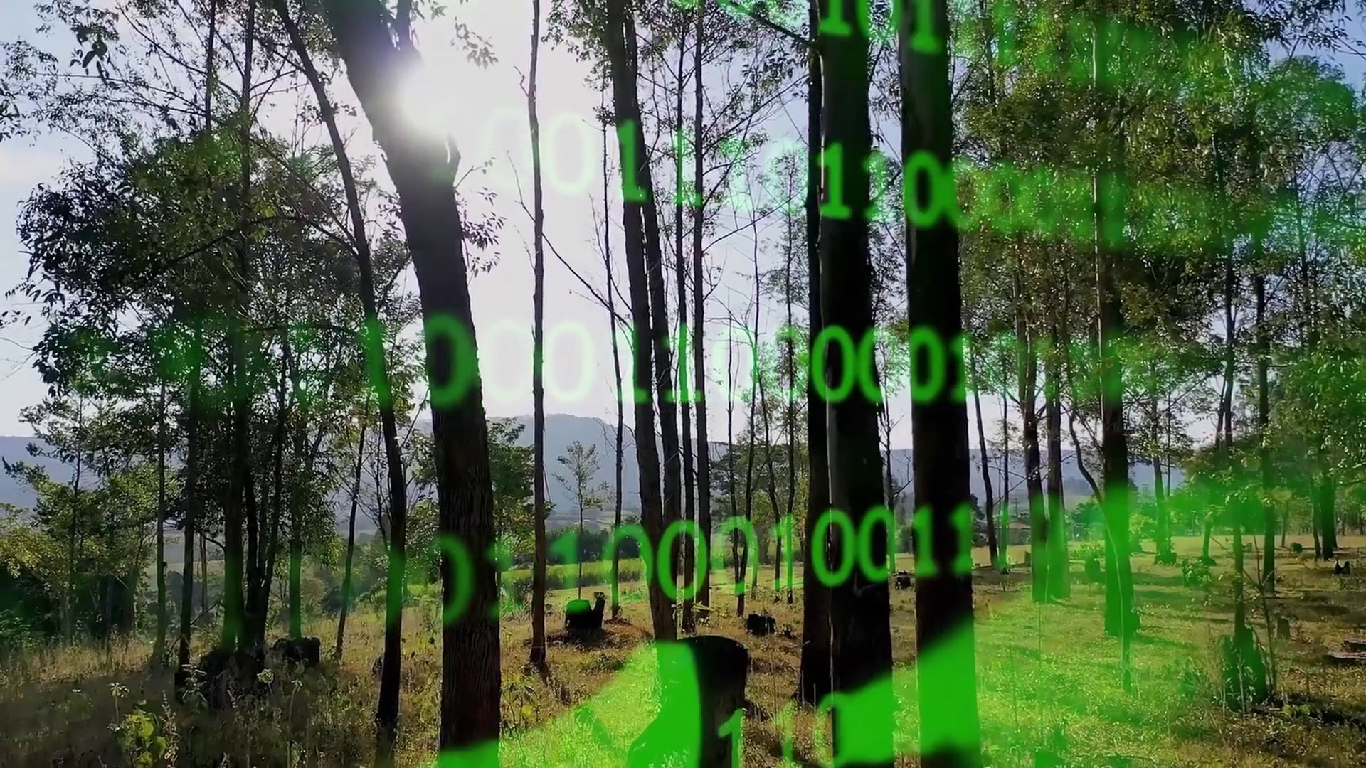 Idrogeno verde, dall'Ue 550 milioni per l'Italia