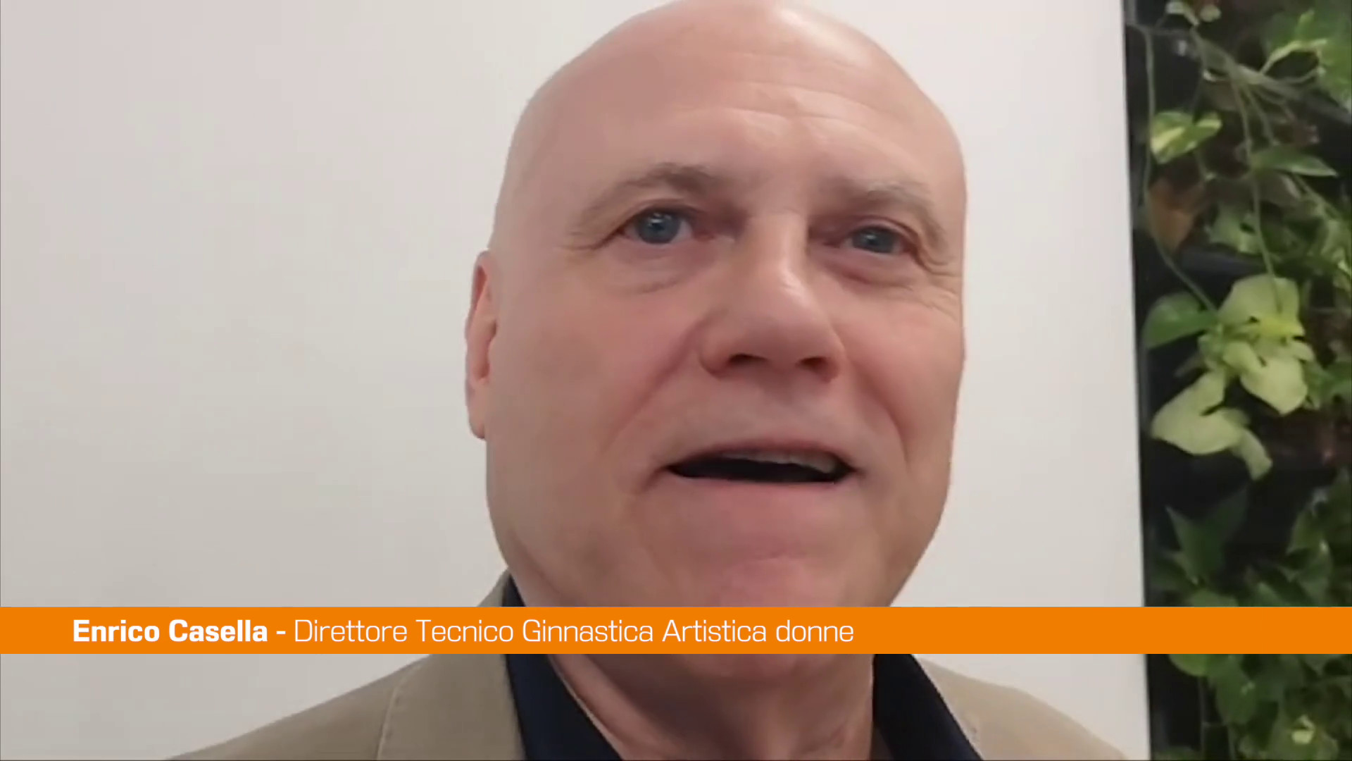 Europei ginnastica a Rimini, Casella 