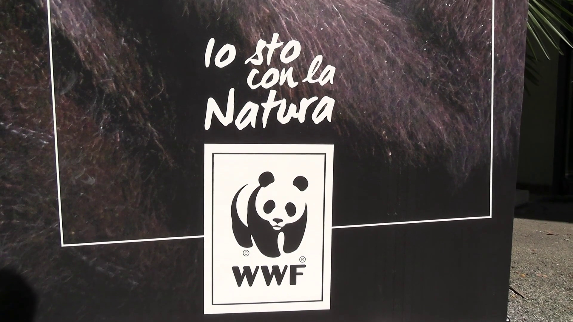 Sostenibilità, al via la quinta edizione di 