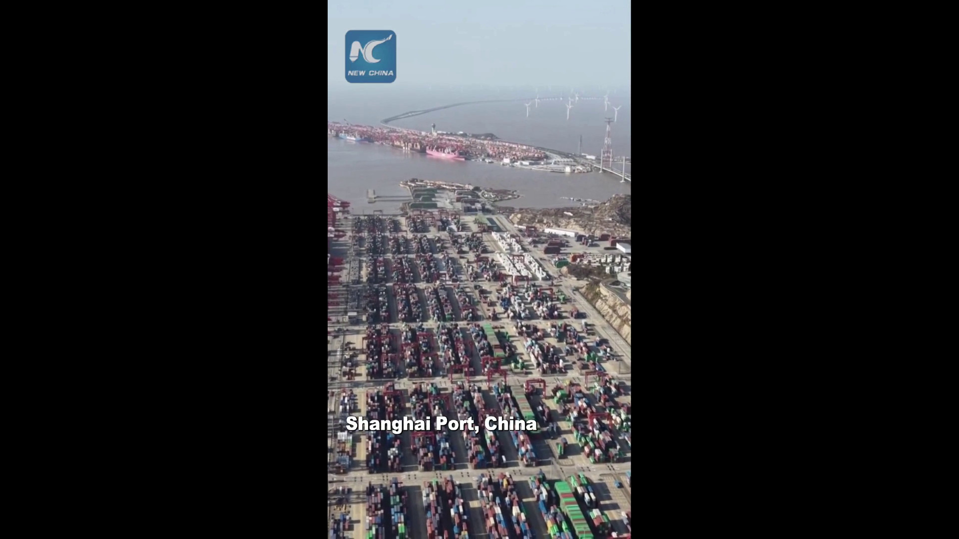 Cina: porto di Shanghai più trafficato al mondo per 16esimo anno in fila