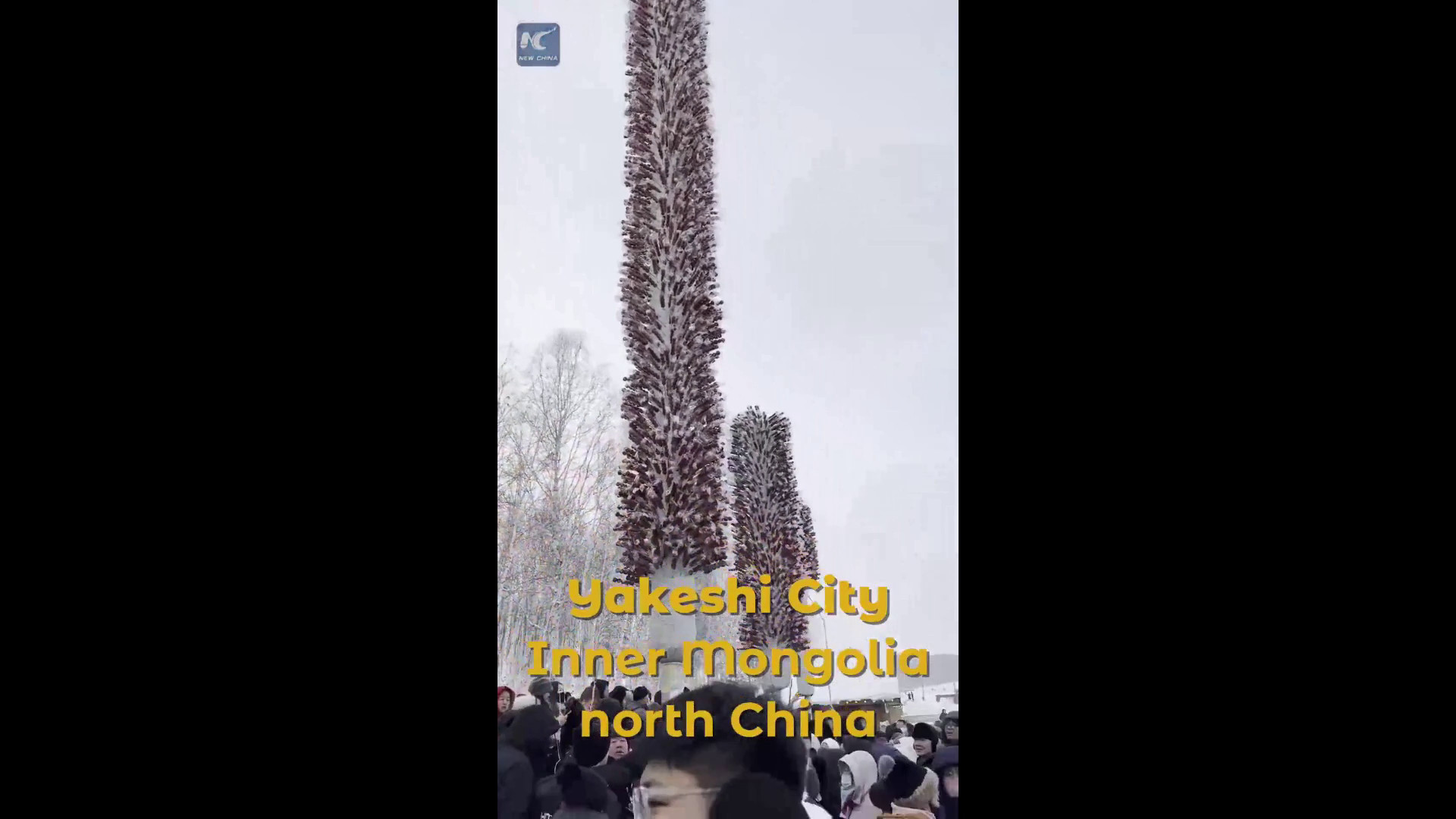 Cina, grandi alberi di biancospino illuminano il festival invernale di Yakeshi