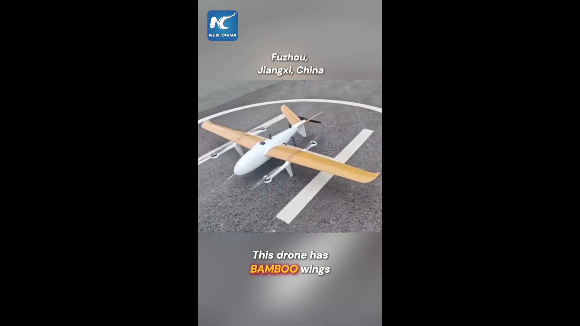 Cina: drone con ali in bambù completa volo inaugurale