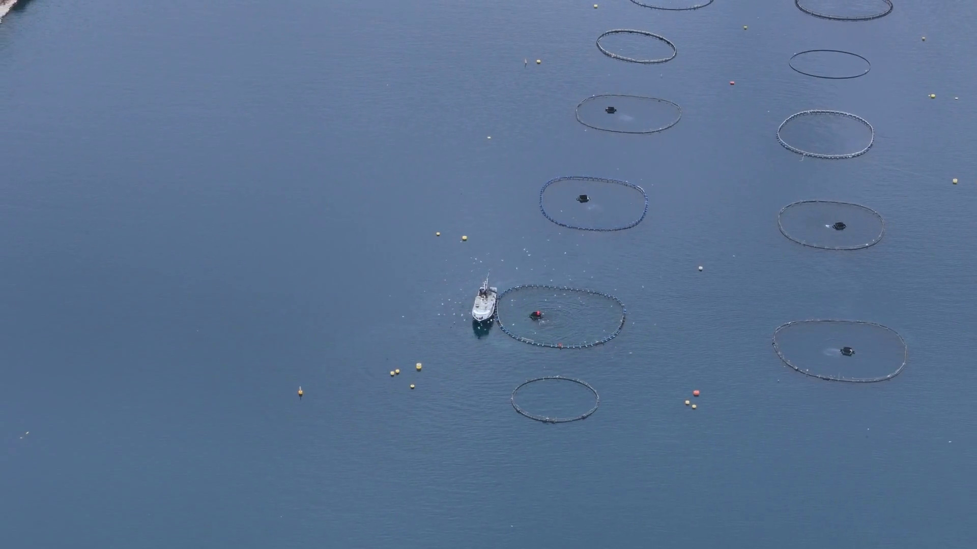 Pesca, 3 milioni per le imprese colpite dal maltempo