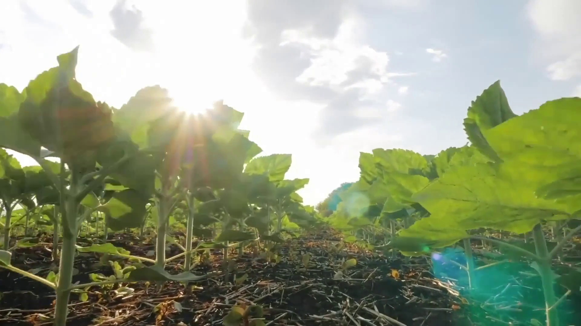 Risparmio idrico e realizzazione invasi prioritari per 74% italiani