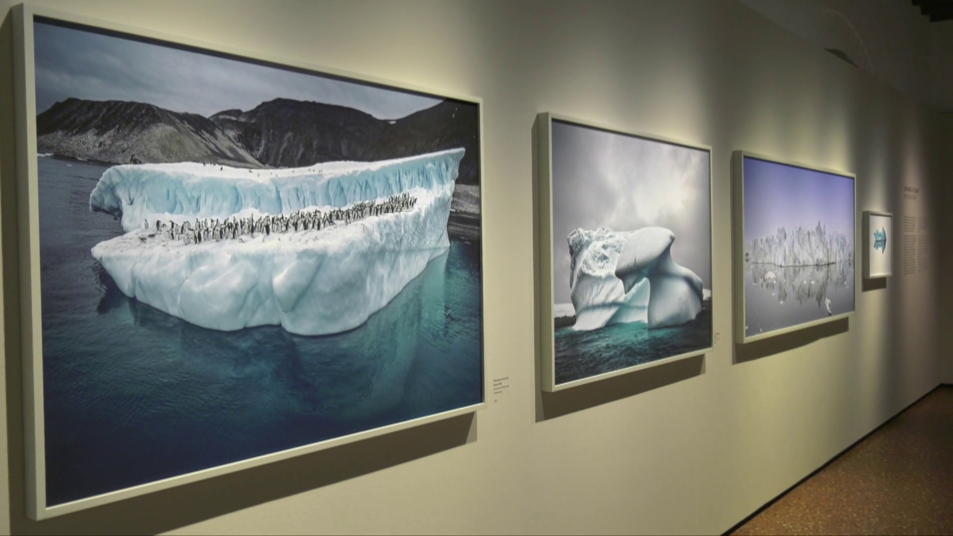Vicenza, alle Gallerie d'Italia la mostra 