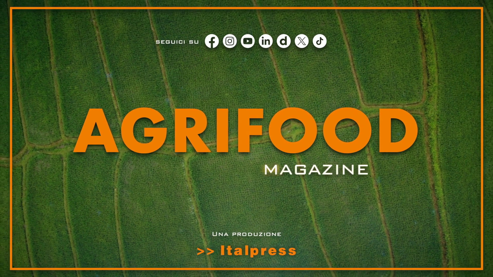 Agrifood Magazine - 19/6/2024