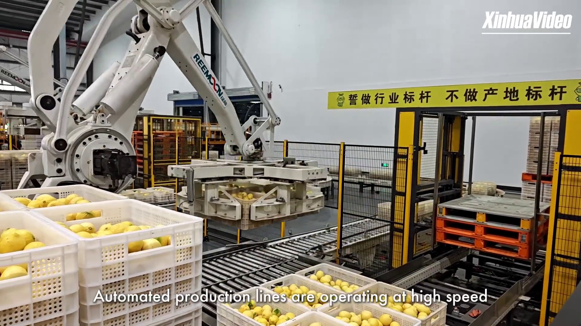 Tecnologia moderna dà impulso all’industria del limone nella Cina sud-ovest