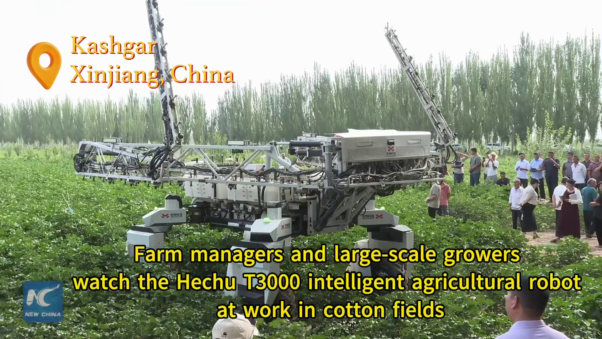 Cina, un robot tra i campi di cotone mostra l’agricoltura smart dello Xinjiang