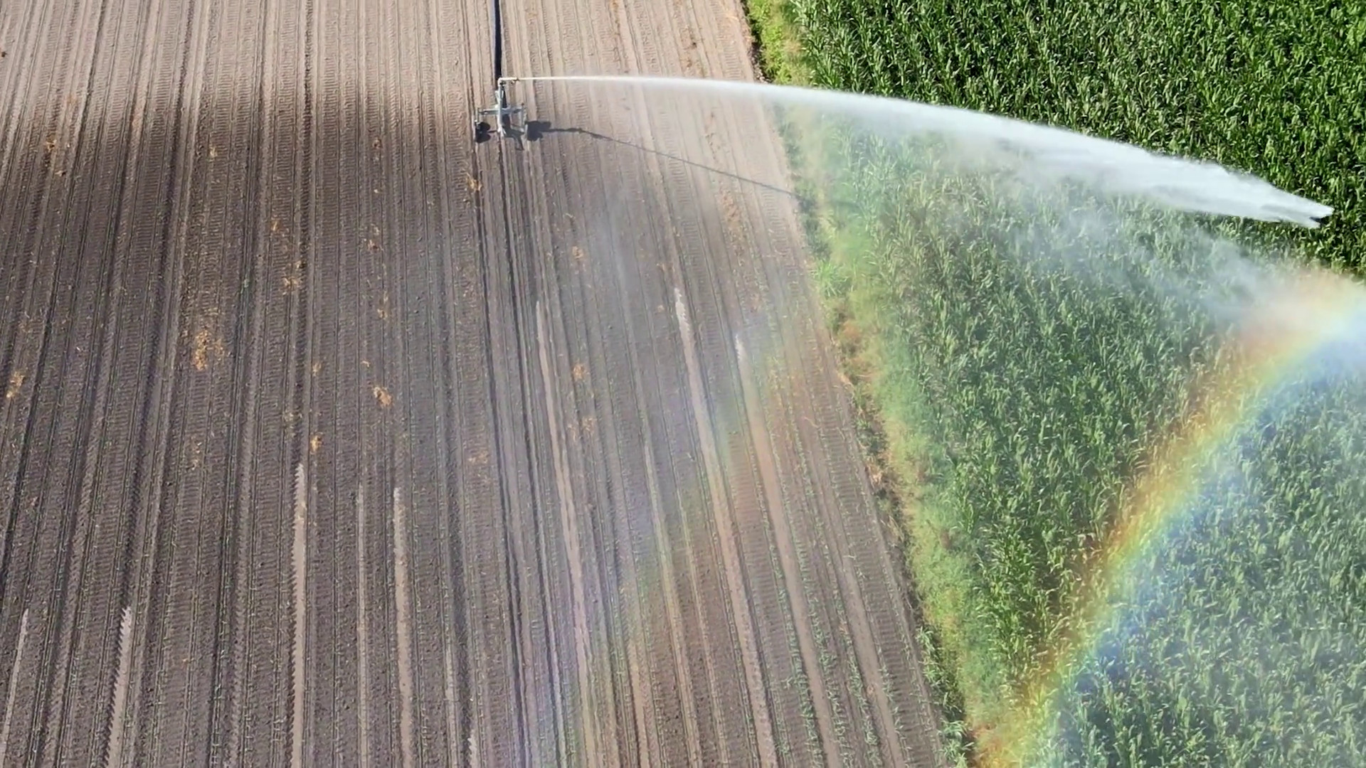 Rivoluzione nei campi, l’Ue punta sull’agricoltura rigenerativa