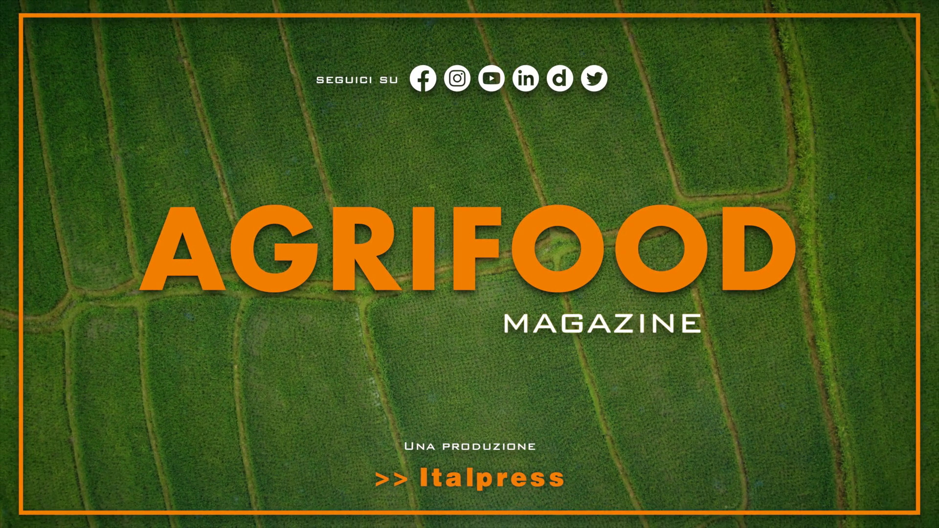 Agrifood Magazine - 24/1/2024