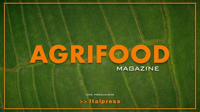 Agrifood Magazine - 22/6/2022