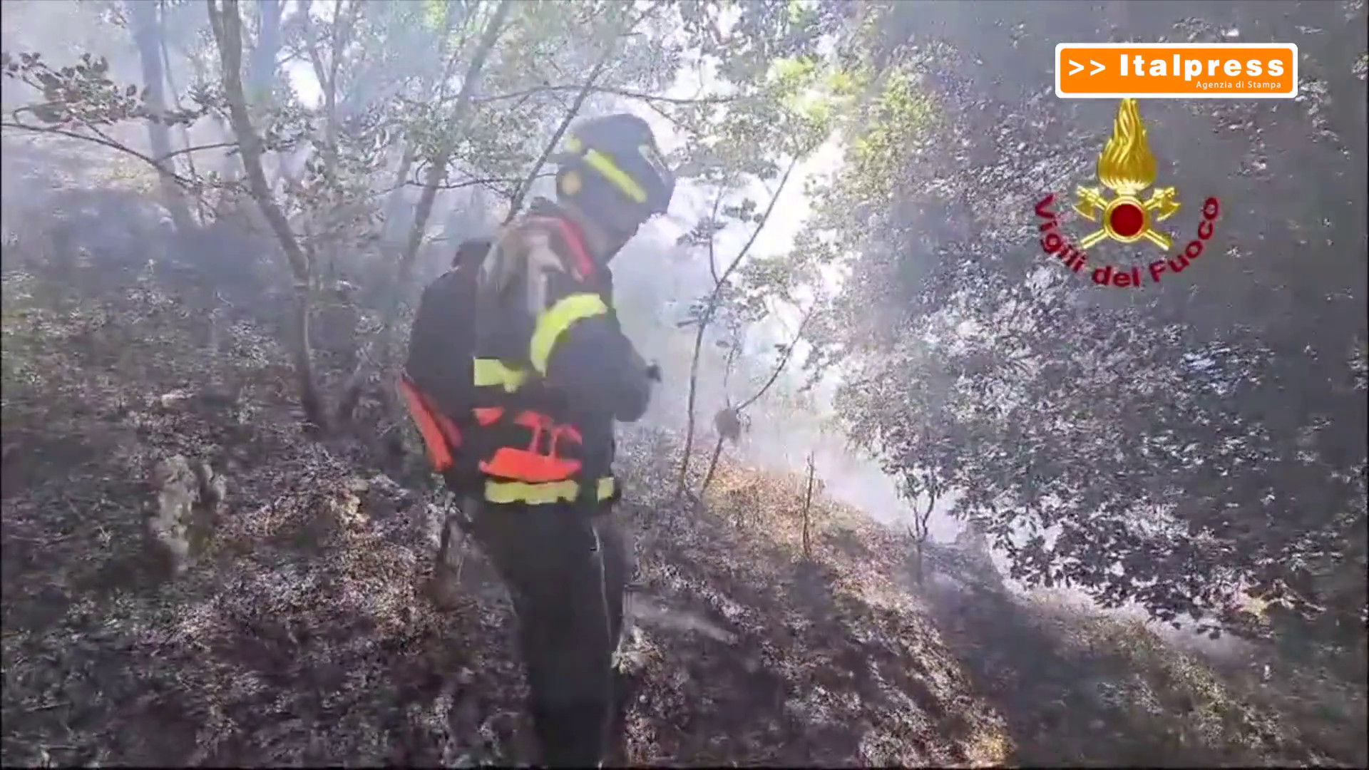 Incendio nel bosco del monte Grisa a Trieste, pompieri in azione