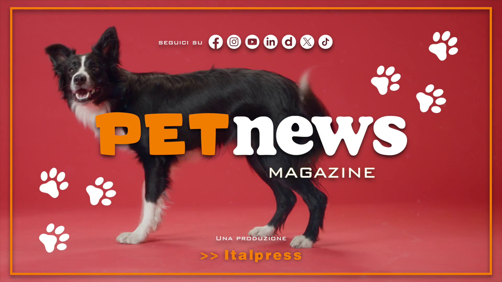 PetNews Magazine - 13/2/2024