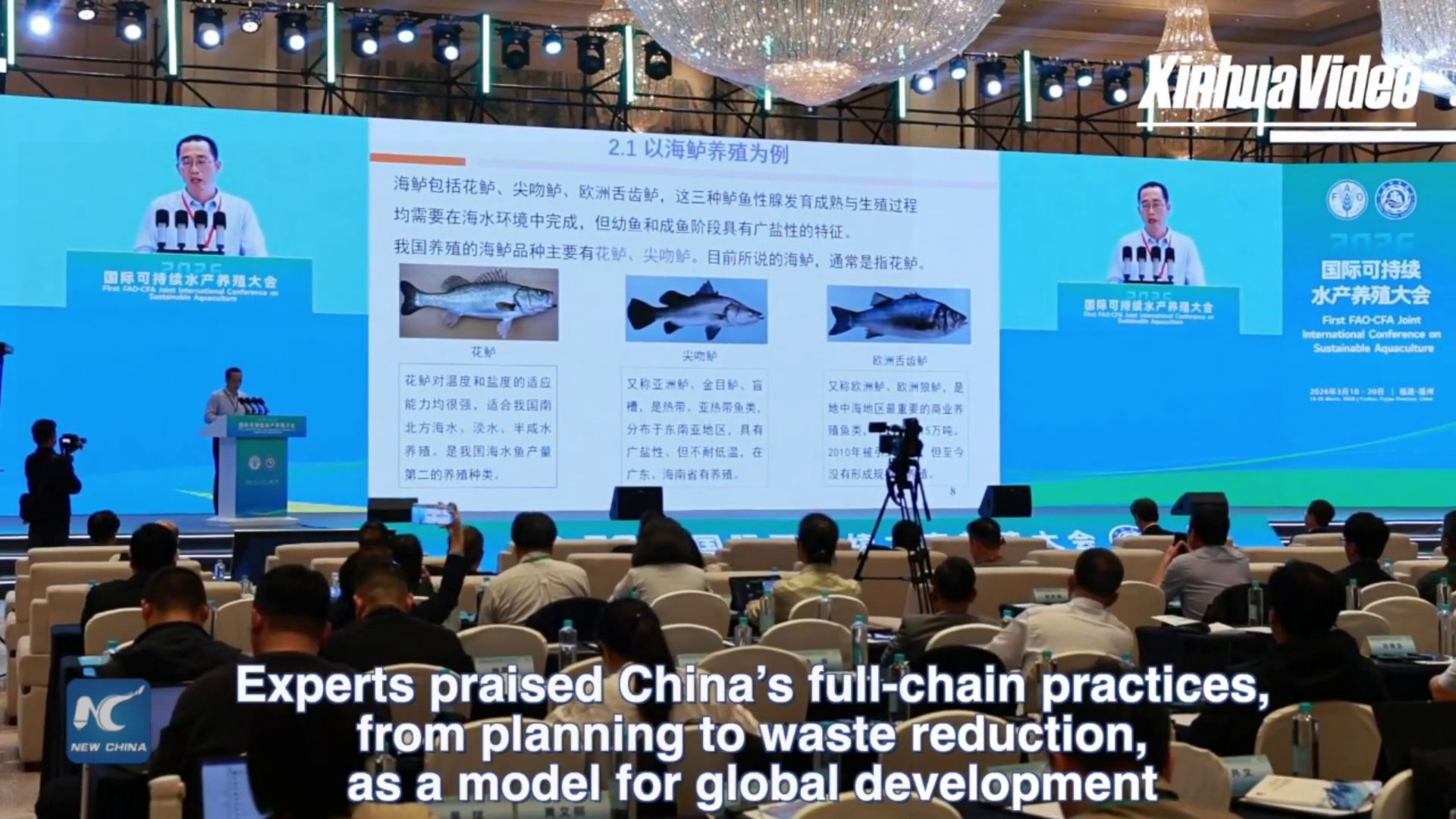 Esperti stranieri elogiano l'acquacoltura sostenibile della Cina