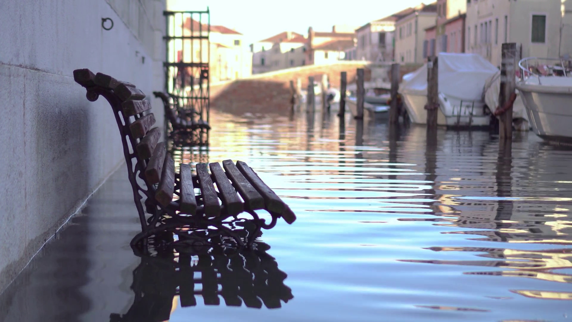 Ecoansia, il peso psicologico dei cambiamenti climatici sui giovani italiani