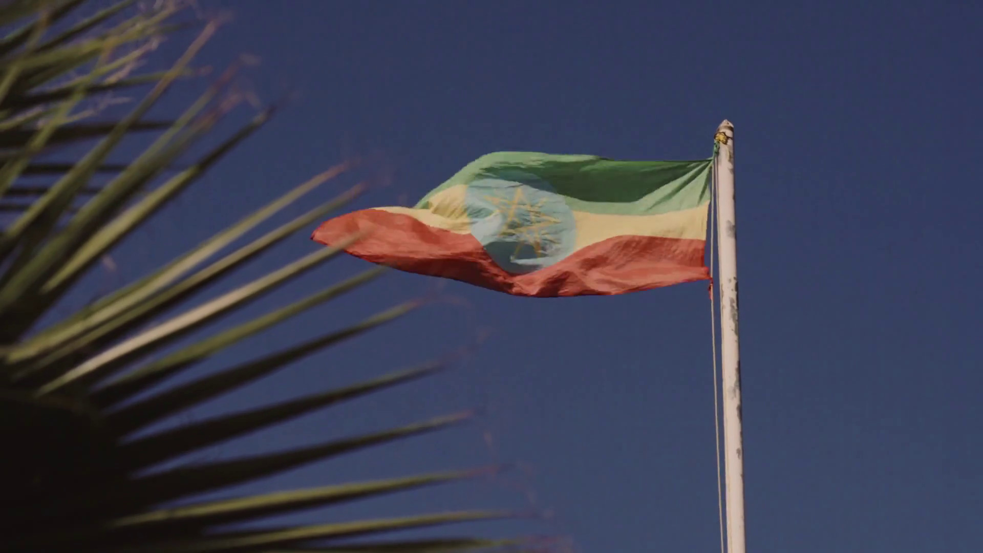 Agricoltura e pesca, accordo di partenariato tra Italia ed Etiopia