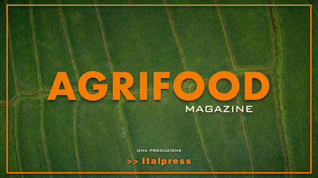 Agrifood Magazine - 29/12/2021
