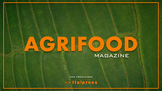 Agrifood Magazine - 8/12/2021