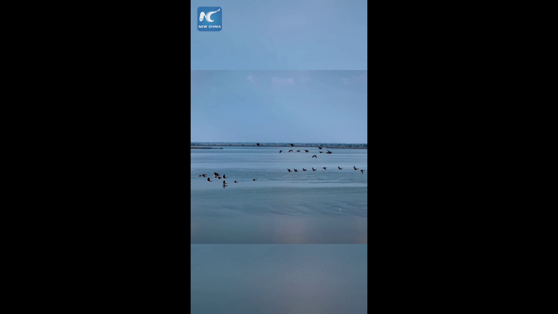 Cina: riserva naturale Hunan diventa paradiso invernale per uccelli migratori