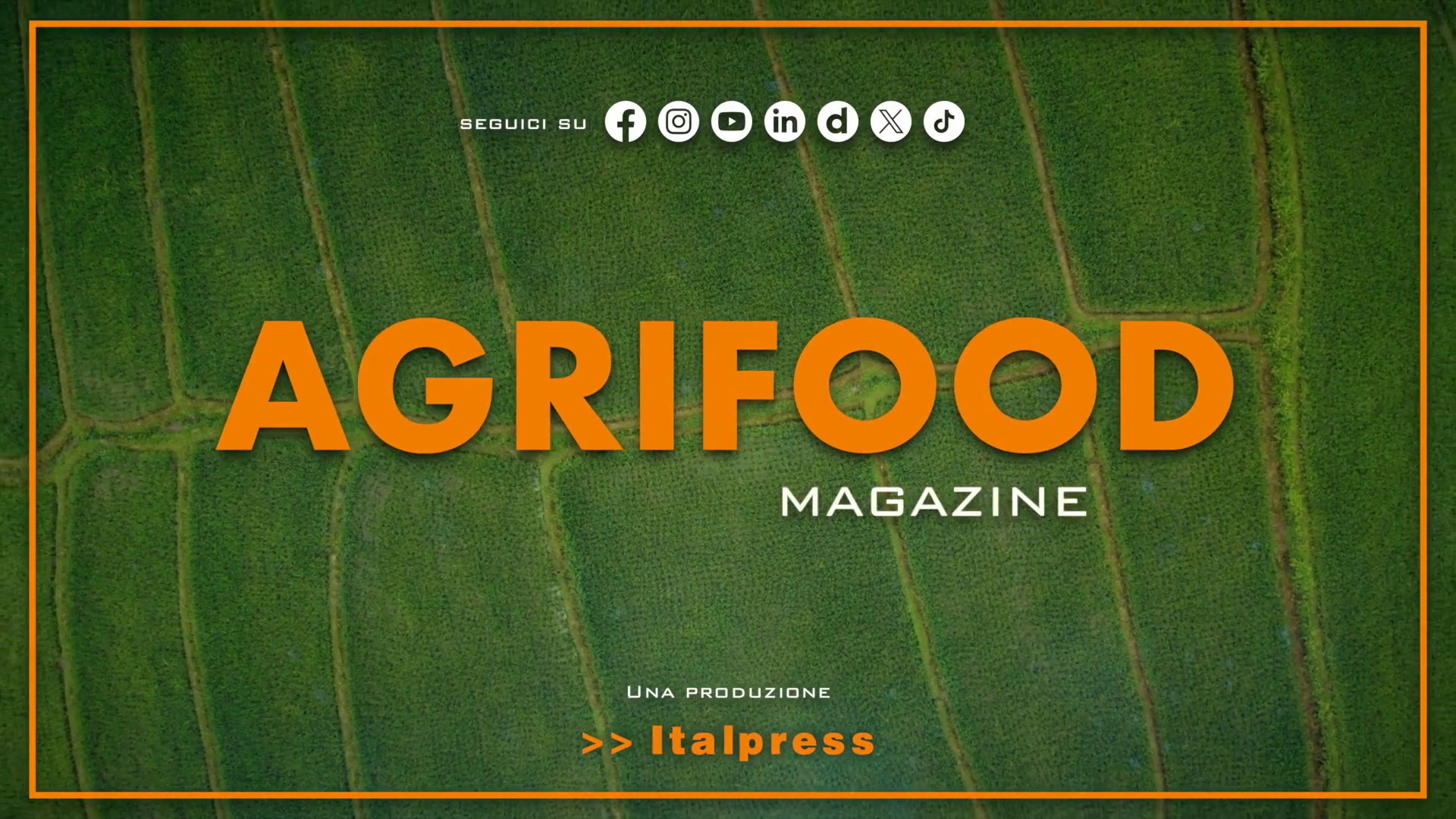 Agrifood Magazine – 24/7/2024