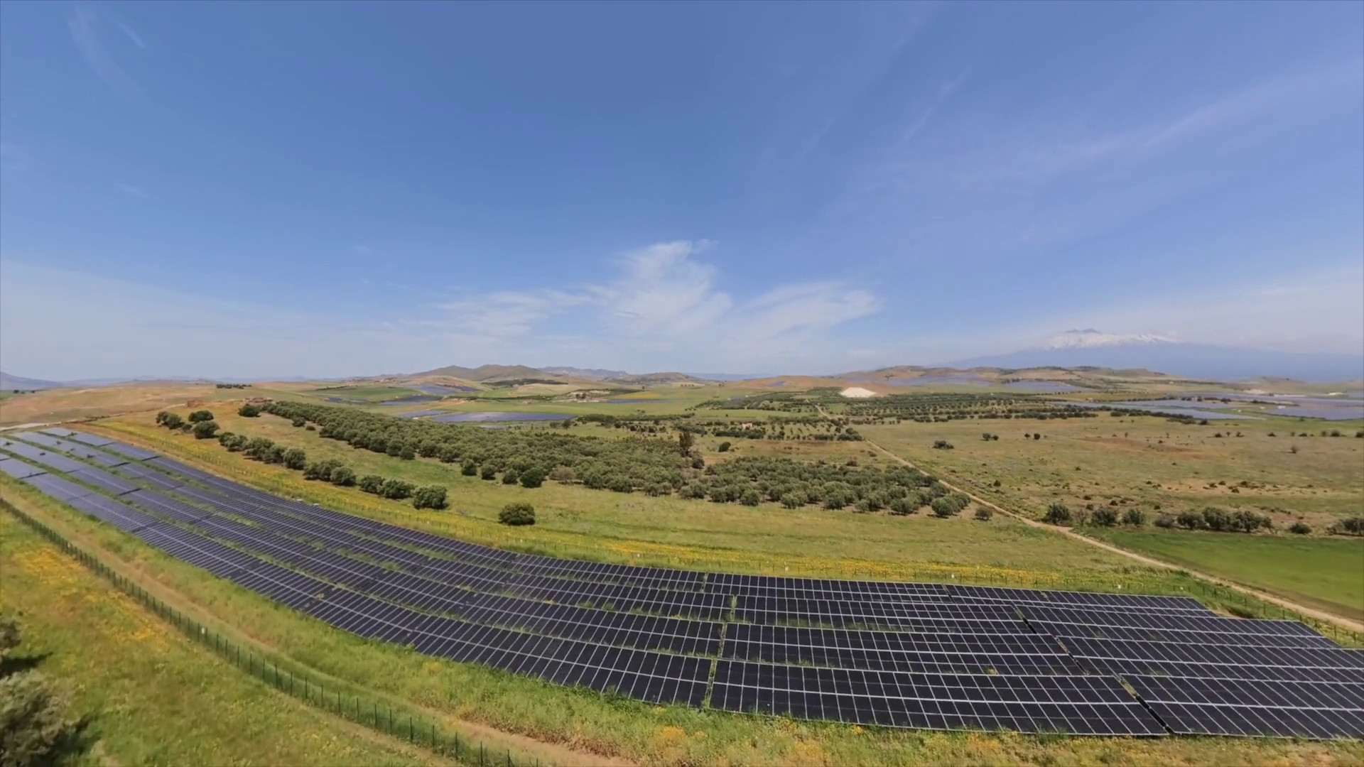 Inaugurato in Sicilia Iberdrola Fenix, impianto fotovoltaico da 243 MW