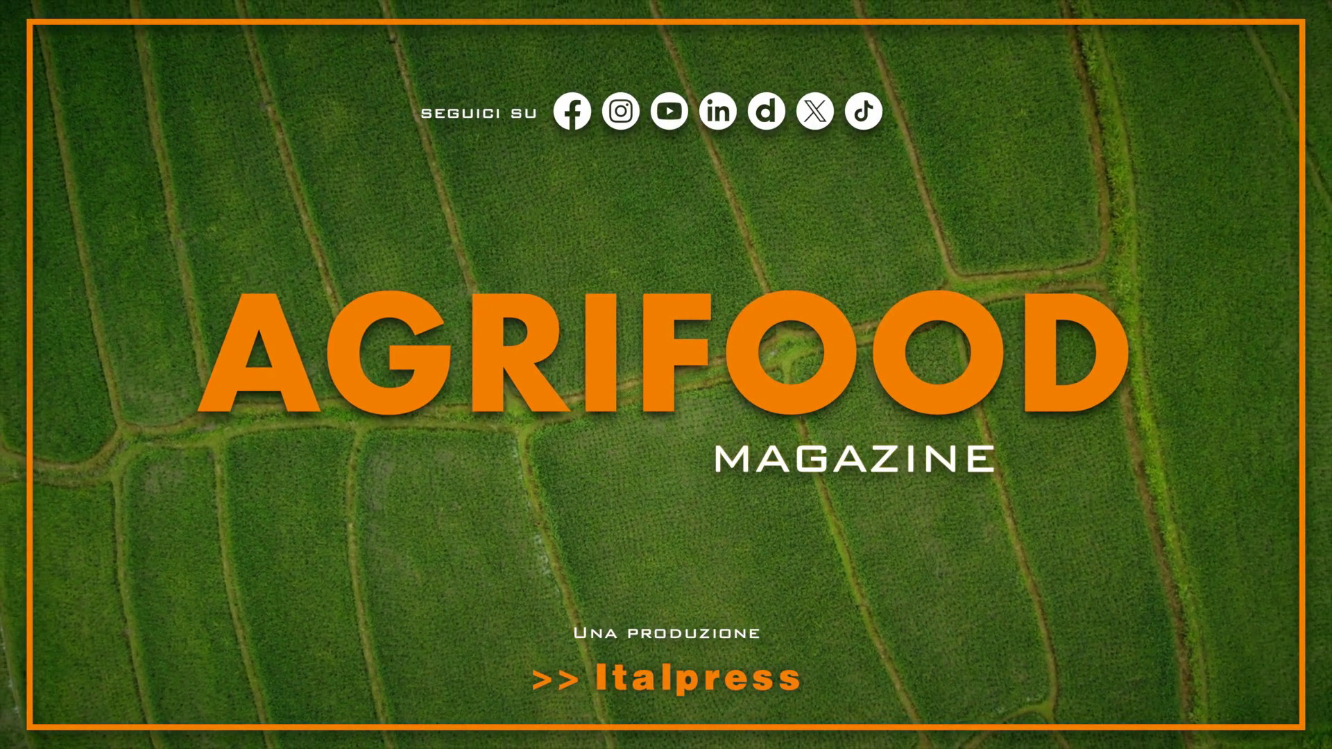 Agrifood Magazine - 28/8/2024
