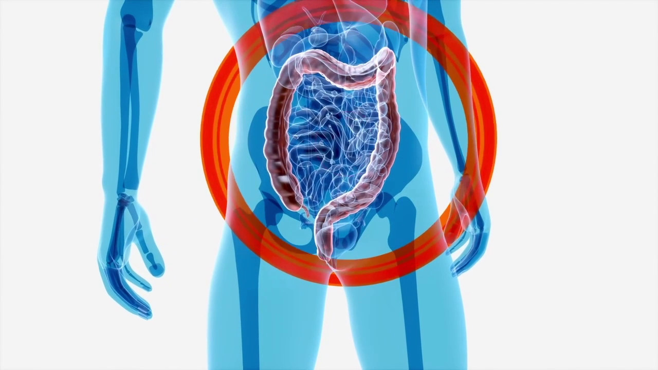 Intestino, l'importanza della varietà dei microrganismi