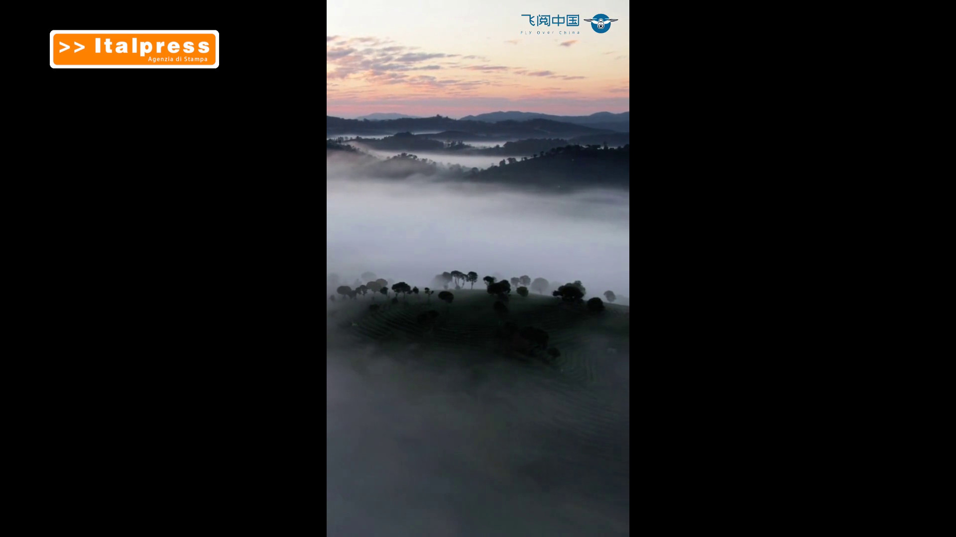 Sud-ovest della Cina, nebbia disegna un dipinto vivente tra le piantagioni di tè