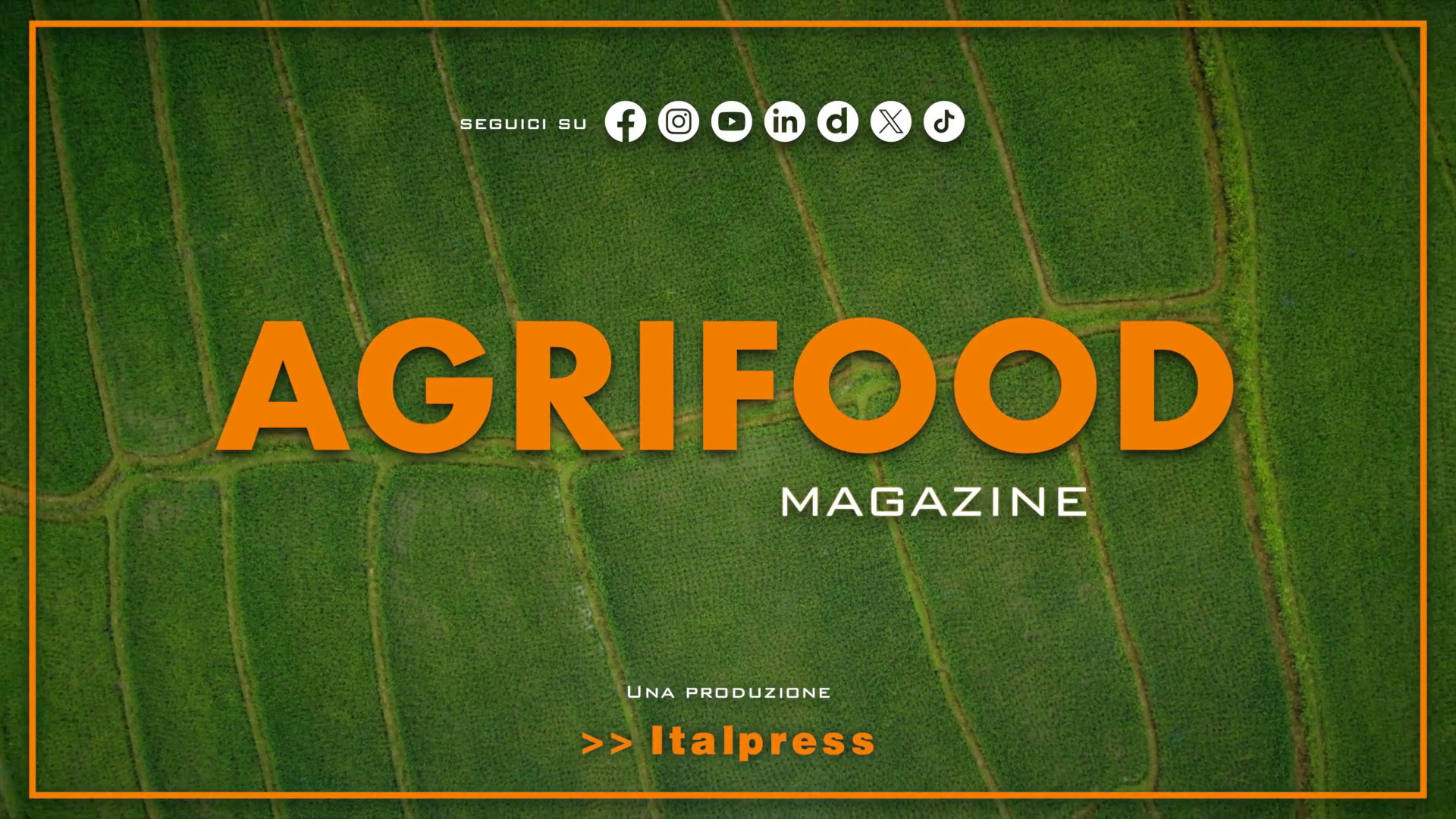Agrifood Magazine - 12/8/2026