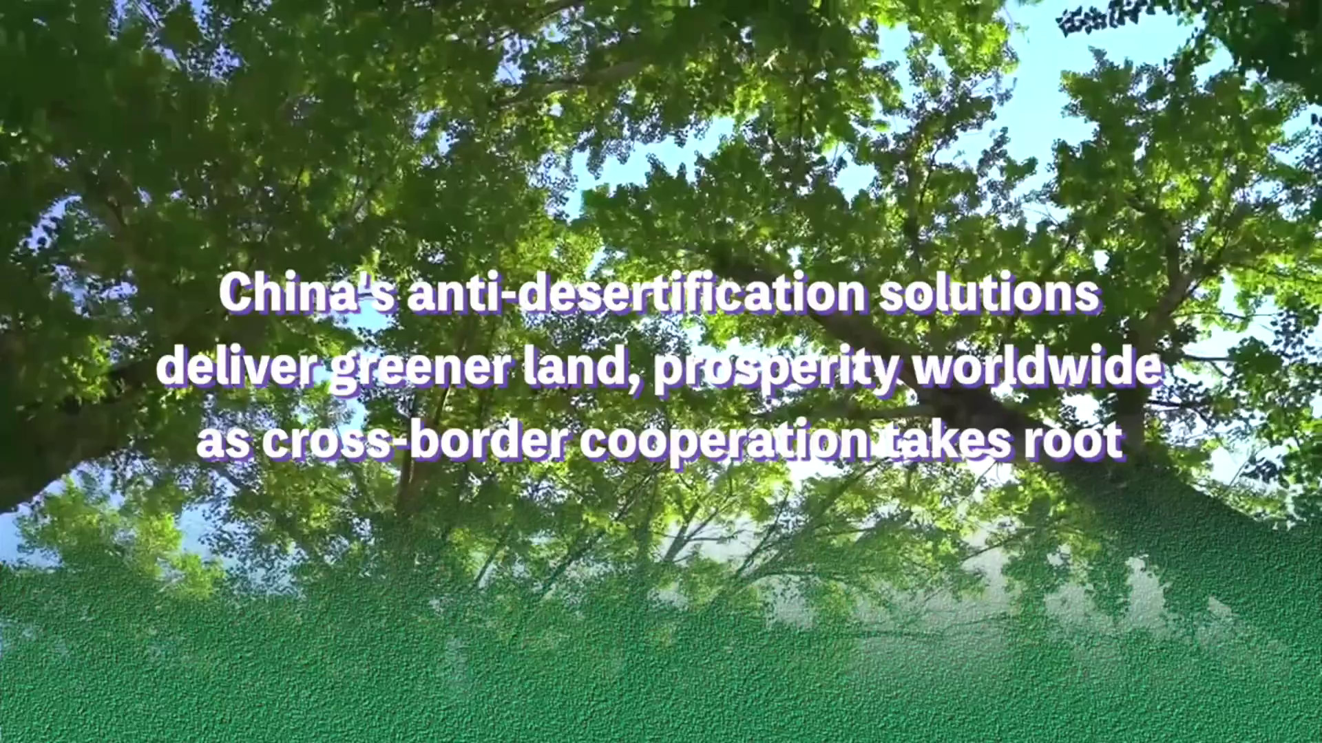 Cina: soluzioni contro la desertificazione per la governance ecologica globale
