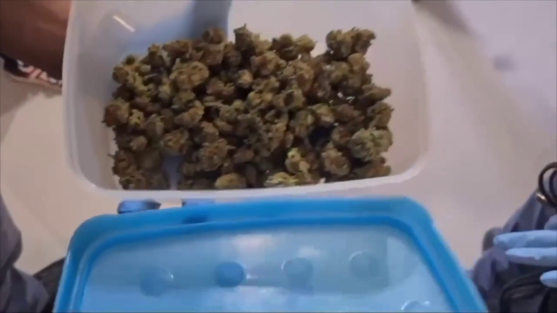 Augusta, cane antidroga scopre marijuana, arrestato spacciatore