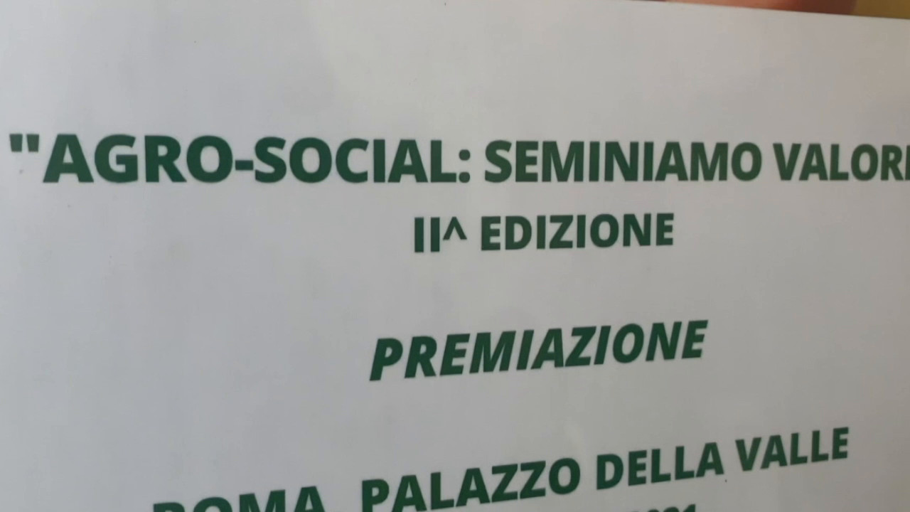 Boom delle imprese innovative, il 75% nel digitale