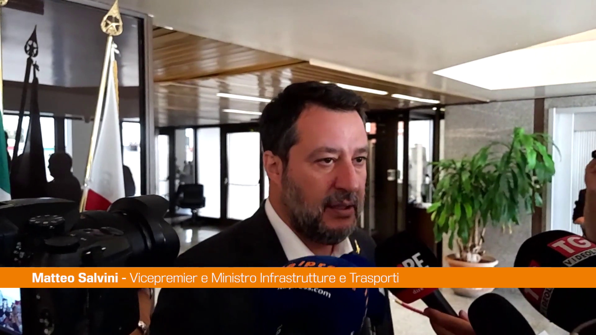 Salvini 