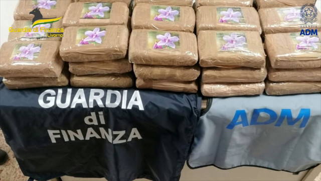 Livorno, sequestrati 48,5 kg di cocaina provenienti dal Sud-America