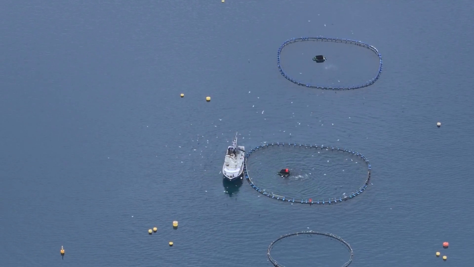 Pesca, stop ai tagli: nel 2026 niente riduzione delle giornate in mare